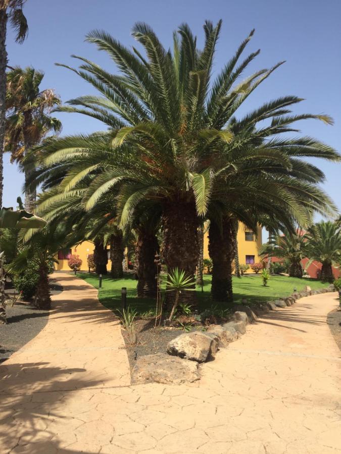 Corralejo Happy Place, Precioso Apartamento Con Piscina Dış mekan fotoğraf