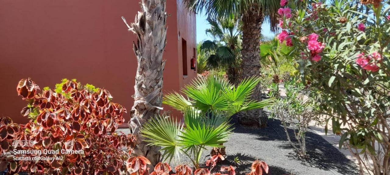 Corralejo Happy Place, Precioso Apartamento Con Piscina Dış mekan fotoğraf